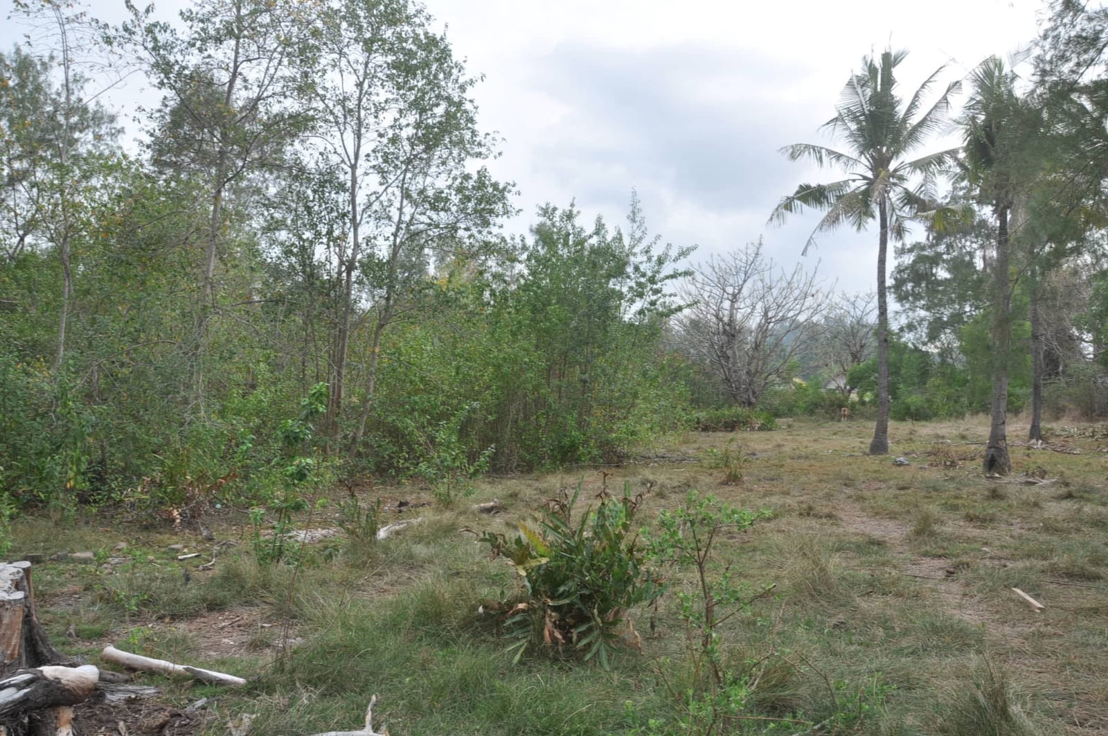 Tanah di jual NATRABU ( Gili Meno )