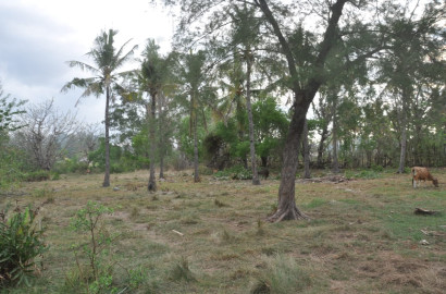 Tanah DiJual > NATRABU