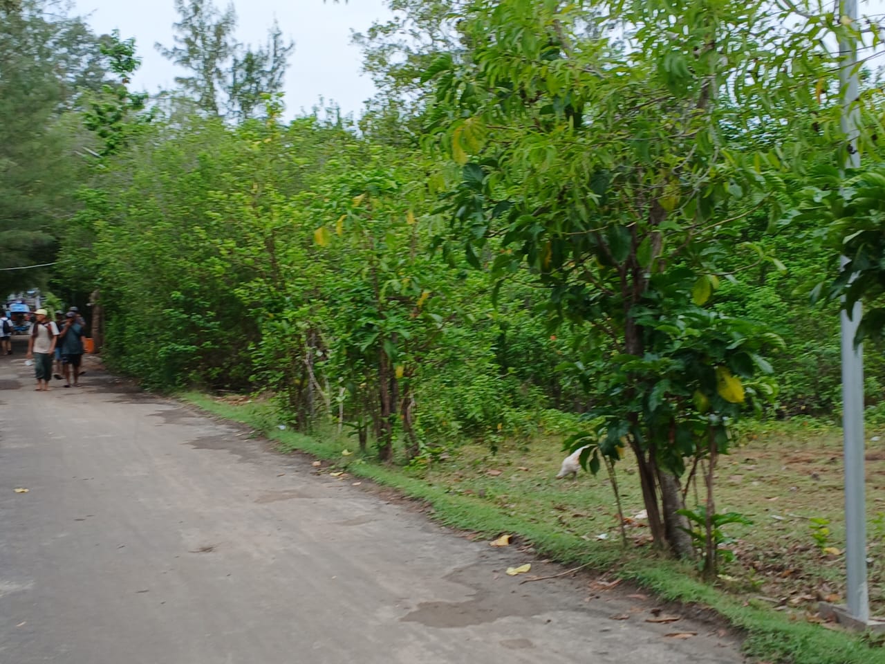 Tanah di jual NATRABU ( Gili Meno )