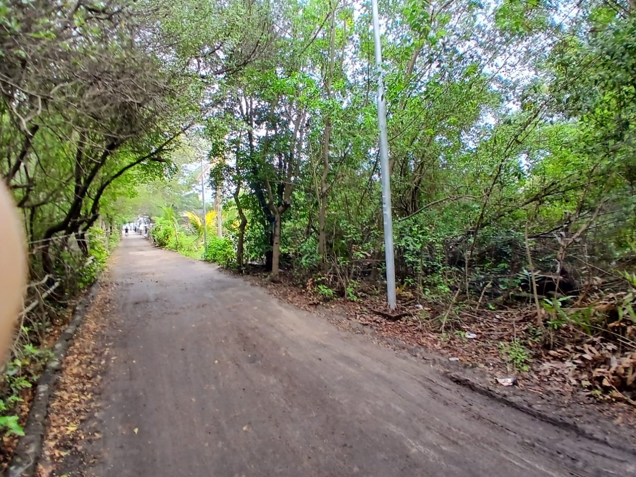 Tanah DiJual > NATRABU