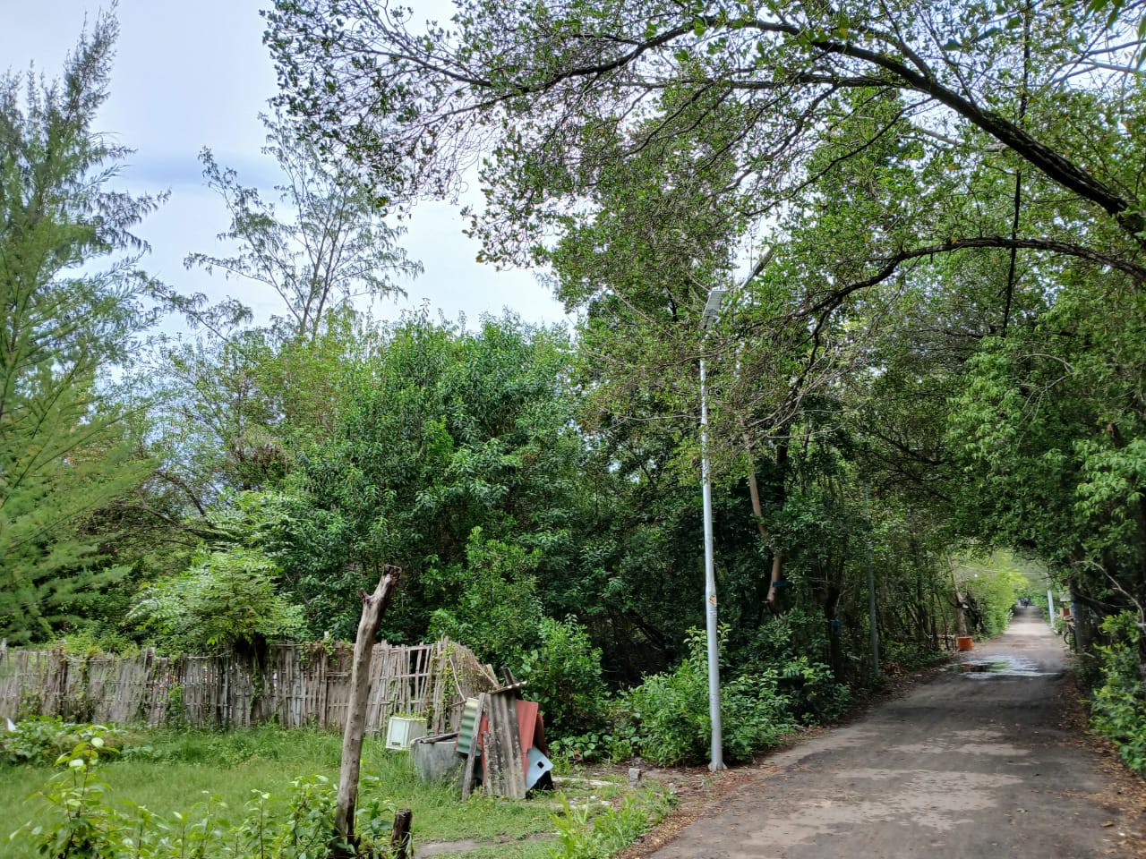 Tanah di jual NATRABU ( Gili Meno )