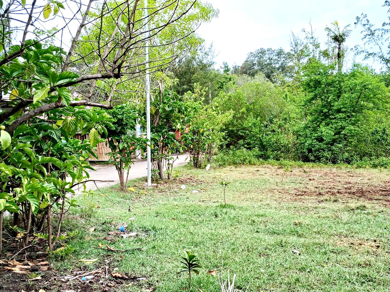 Land For Sale > NATRABU, Gili Meno