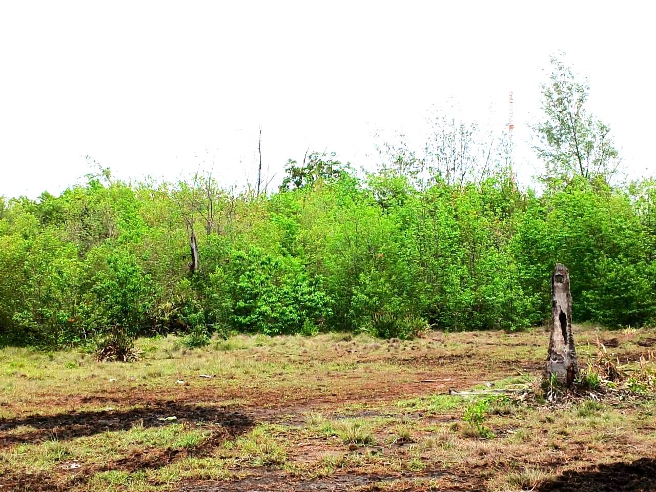 Land For Sale > NATRABU, Gili Meno