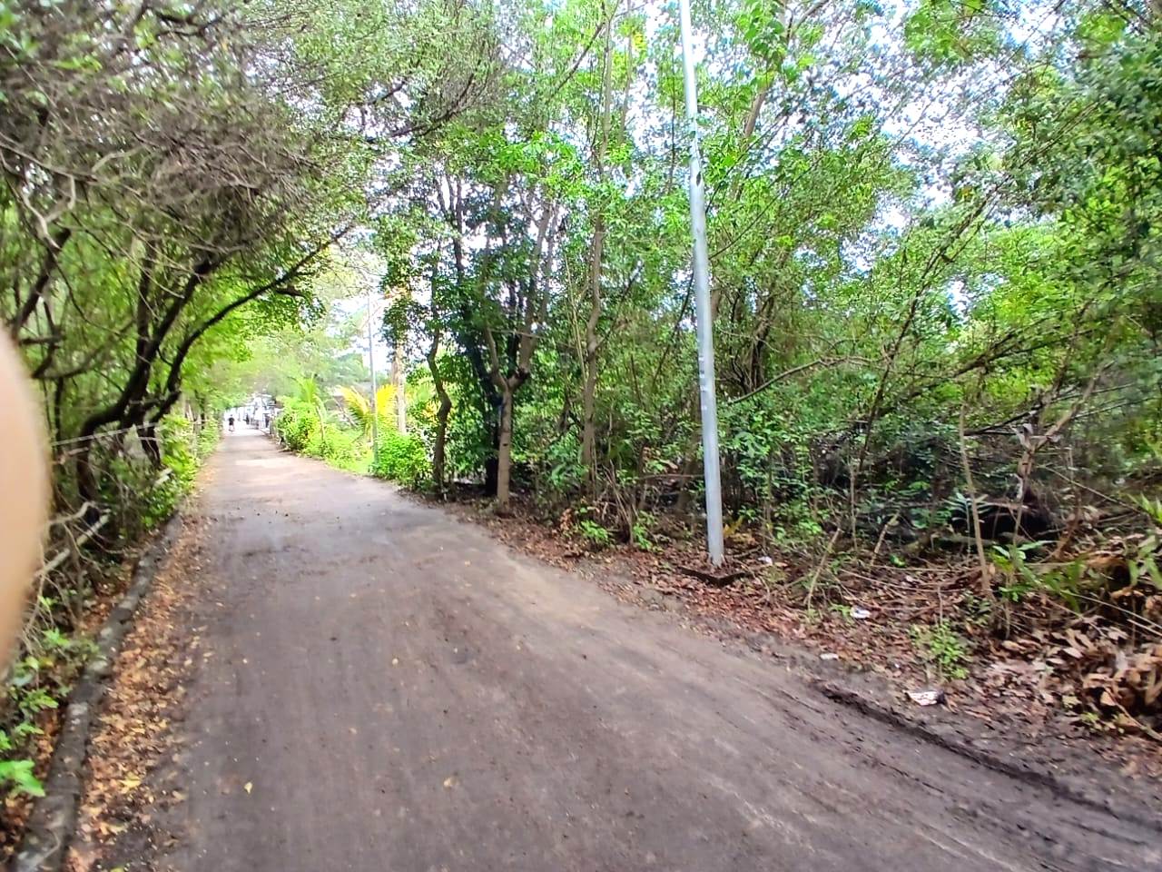 Land For Sale > NATRABU, Gili Meno