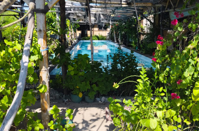 For Sale, Paul's Last Resort