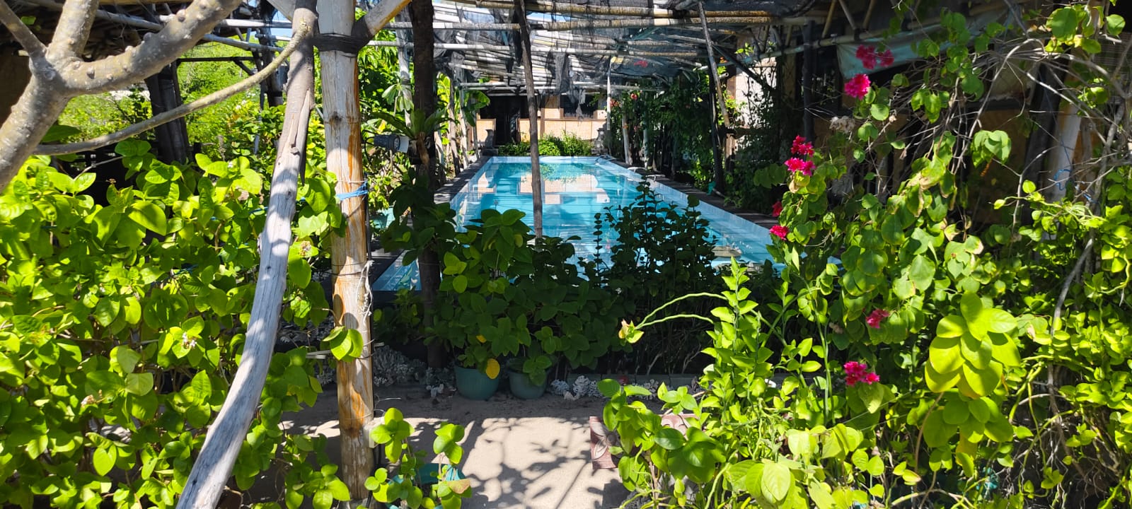 DiJual, Paul's Last Resort - Gili Meno