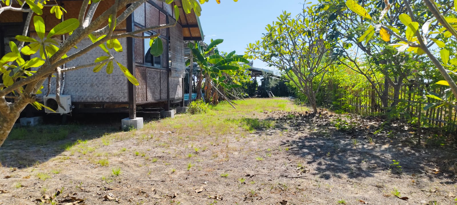 DiJual, Paul's Last Resort